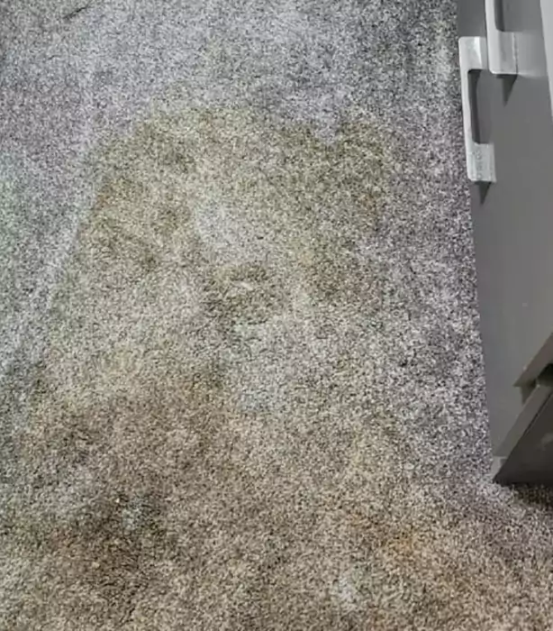 Caravan Carpet Cleaning in Bolton, UK