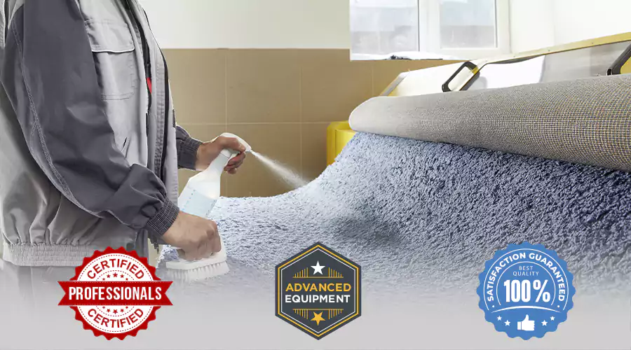 Pet Stains (Urine, Vomit, or Feces)