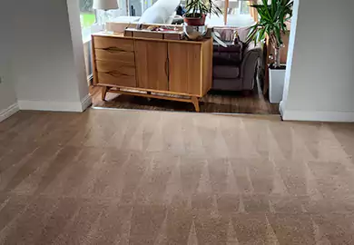 Easy Tips To Make Your Carpet Last Longer