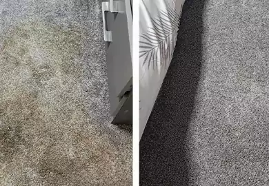 How To Get Stains Out Of Your Carpet