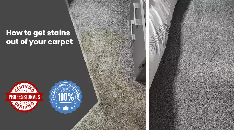How To Get Stains Out Of Your Carpet