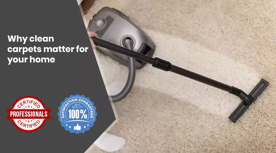 Why Clean Carpets Matter For Your Home