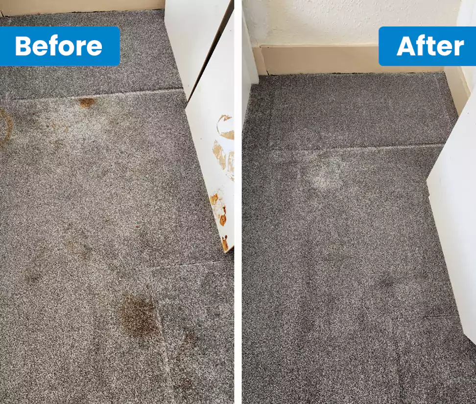 Why Choose Get Spotless?