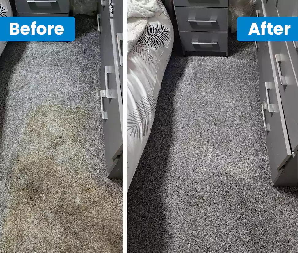 Why Choose Get Spotless in Bolton, UK?