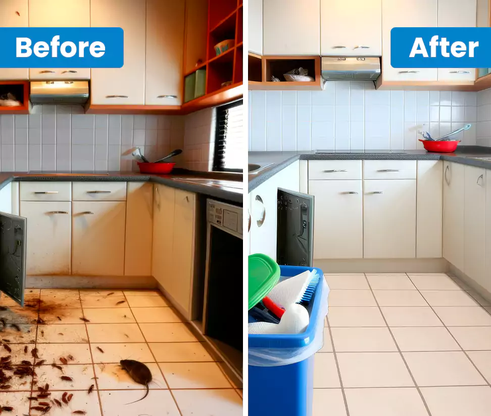 Why Choose Get Spotless in Bolton, UK?