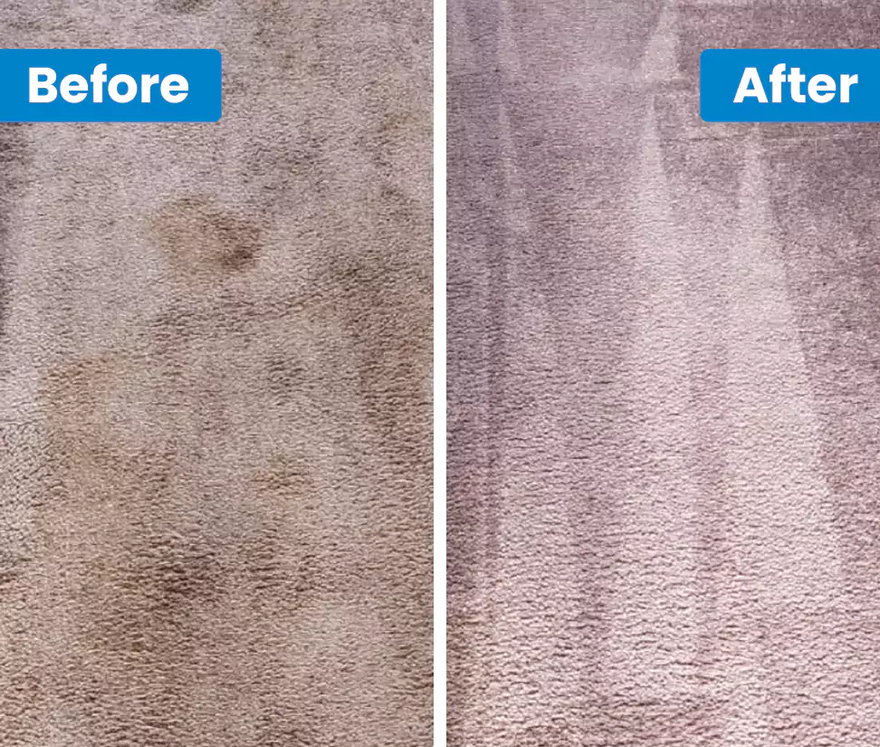 Why Choose Get Spotless in Bolton, UK?