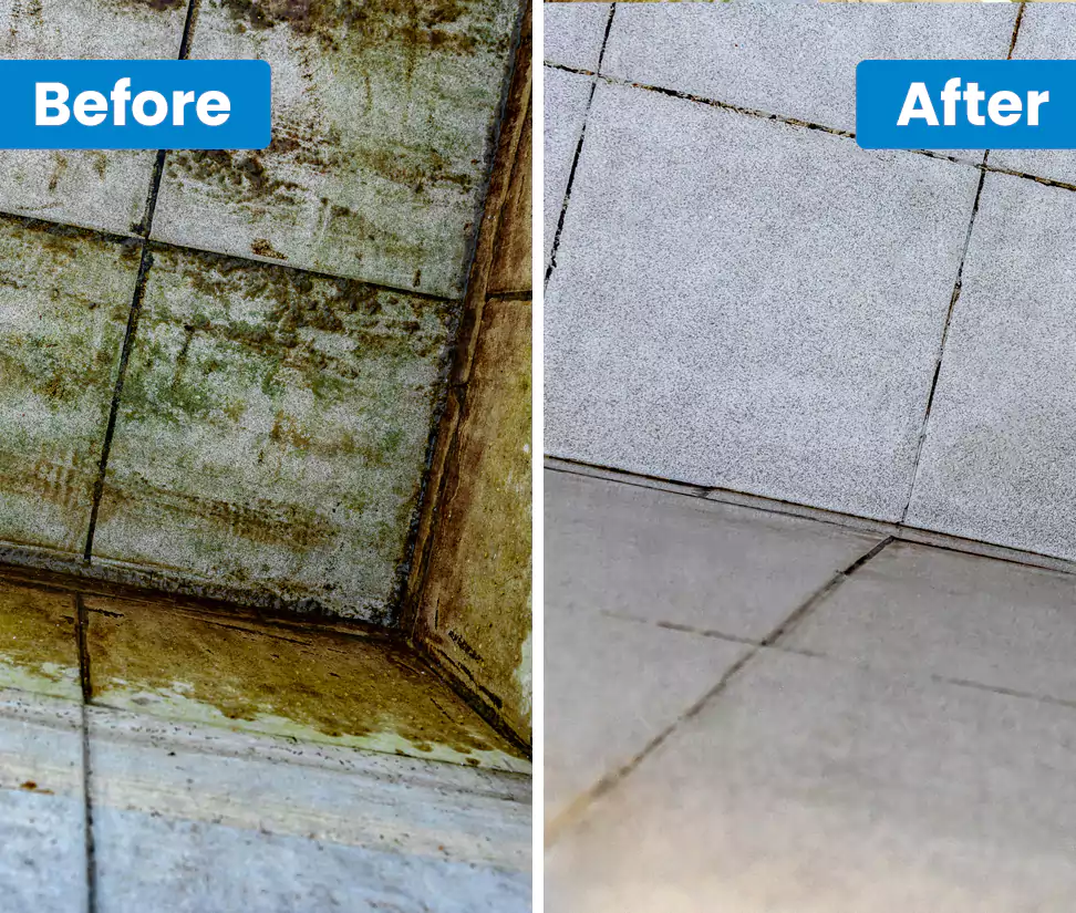 Why Choose Get Spotless in Bolton, UK?