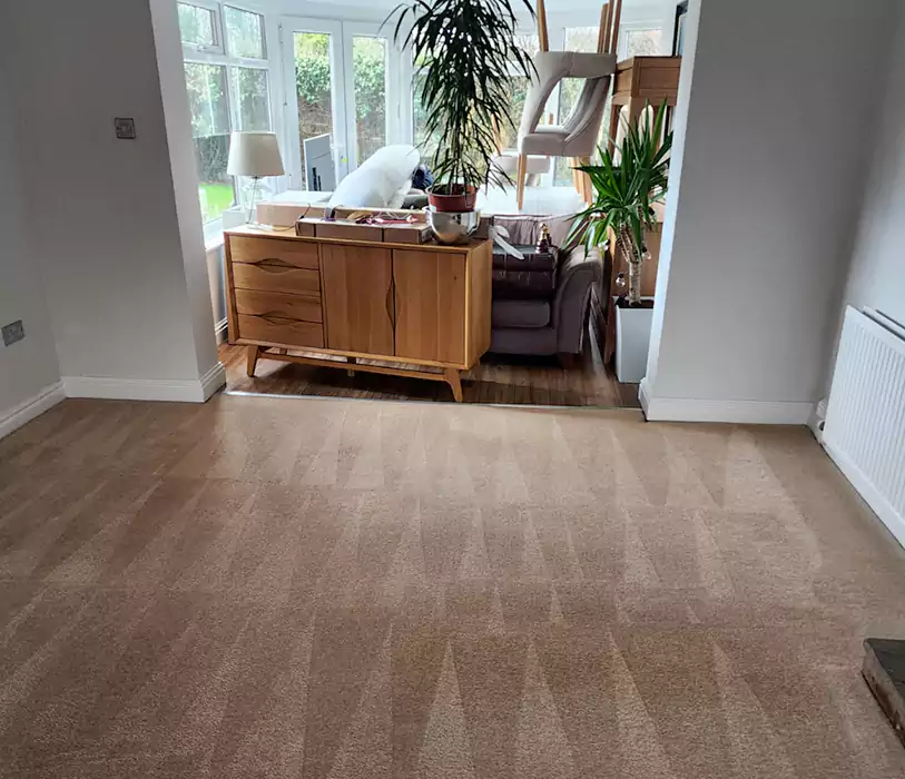 Why Choose Get Spotless?