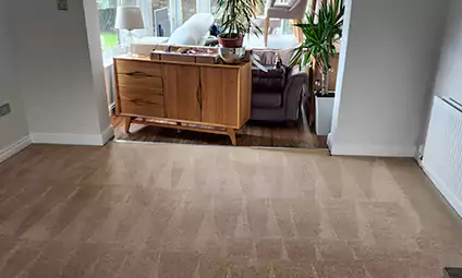 Caravan Carpet Cleaning