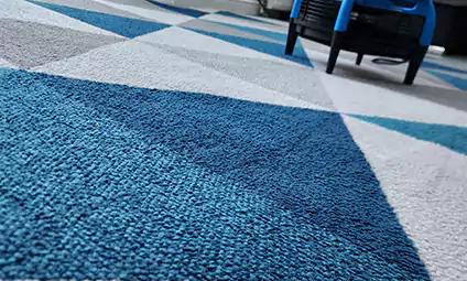 Rug Cleaning